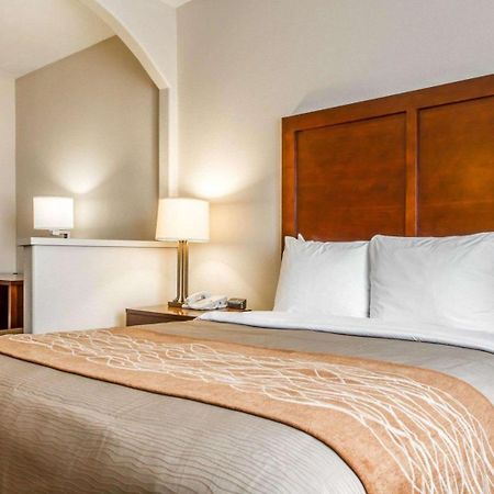 Comfort Inn & Suites Oakland Airport Екстер'єр фото