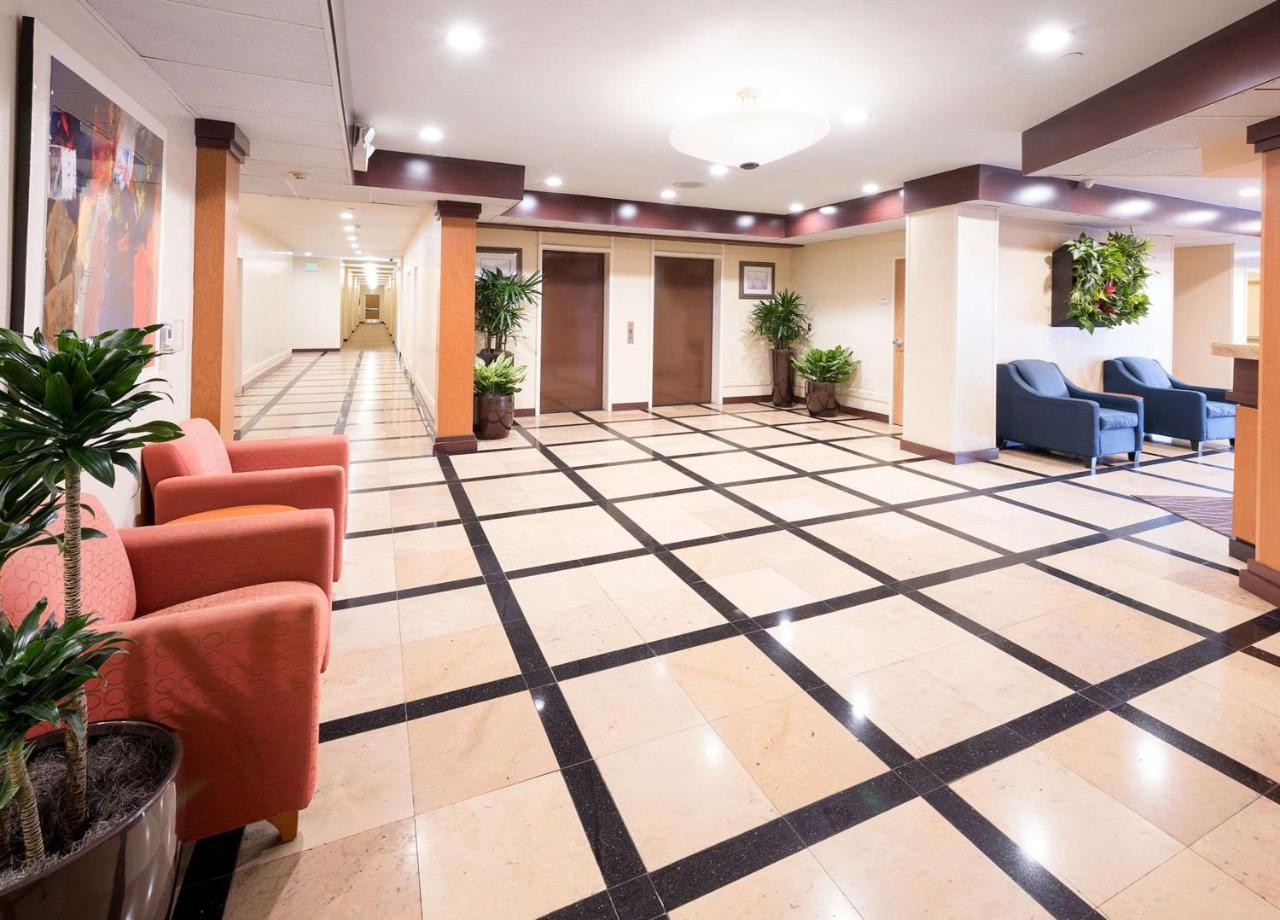 Comfort Inn & Suites Oakland Airport Екстер'єр фото